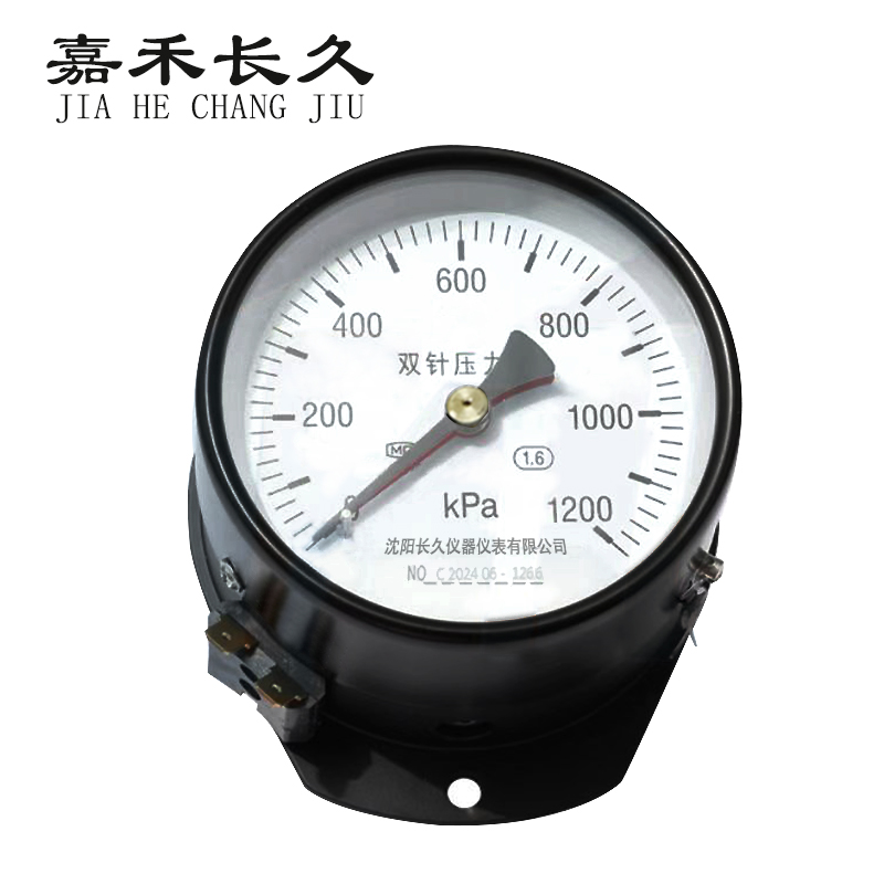 嘉禾长久/轴向双针压力表/YYS-JY-100Z 24V带灯/个 0-1200Kpa