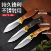 锻打小刀手把肉刀家用刀具吃肉小餐刀户外锋利随身便携刀具X7163