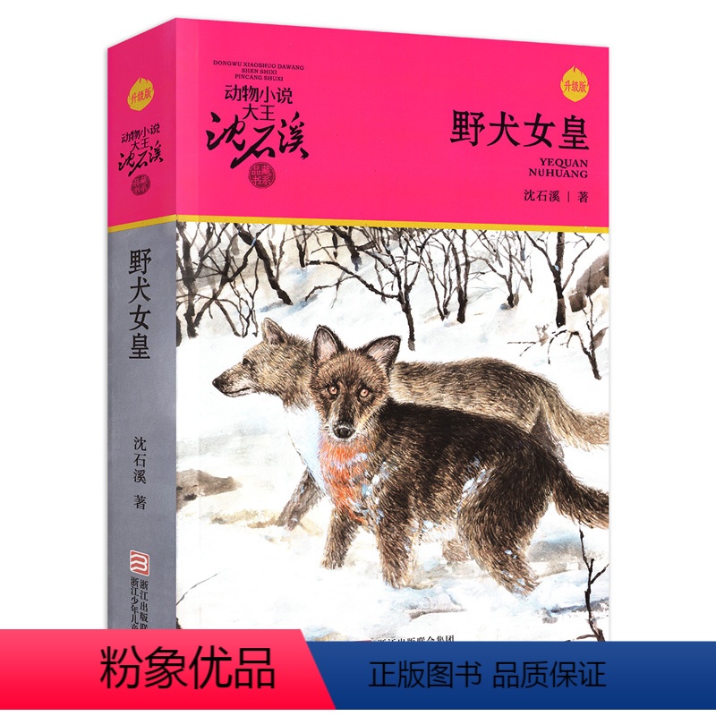 【正版】野犬女皇升级版 动物小说大王沈石溪·品藏书系 11-14岁少儿文学 课外阅读童书 浙江少年儿童出版社 出版10