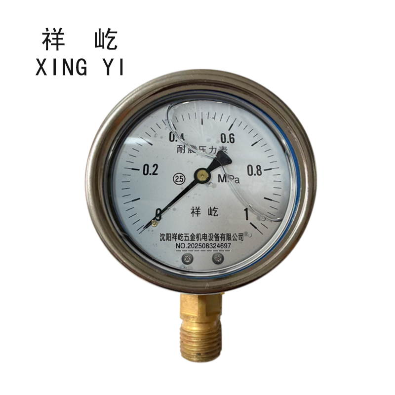 祥屹 耐震压力表 YN60 块 0-1Mpa