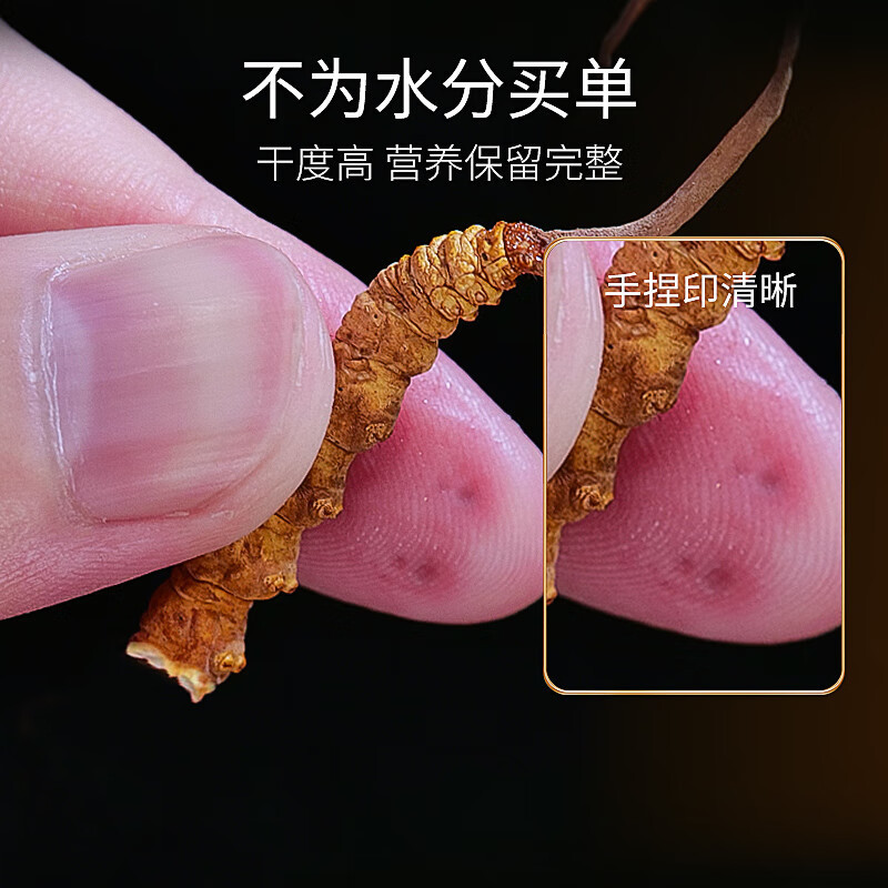 庄民 冬虫夏草冻干断草礼盒5g装 无空草调理煲汤材料长辈营养品滋补礼盒冻干断草官方正品