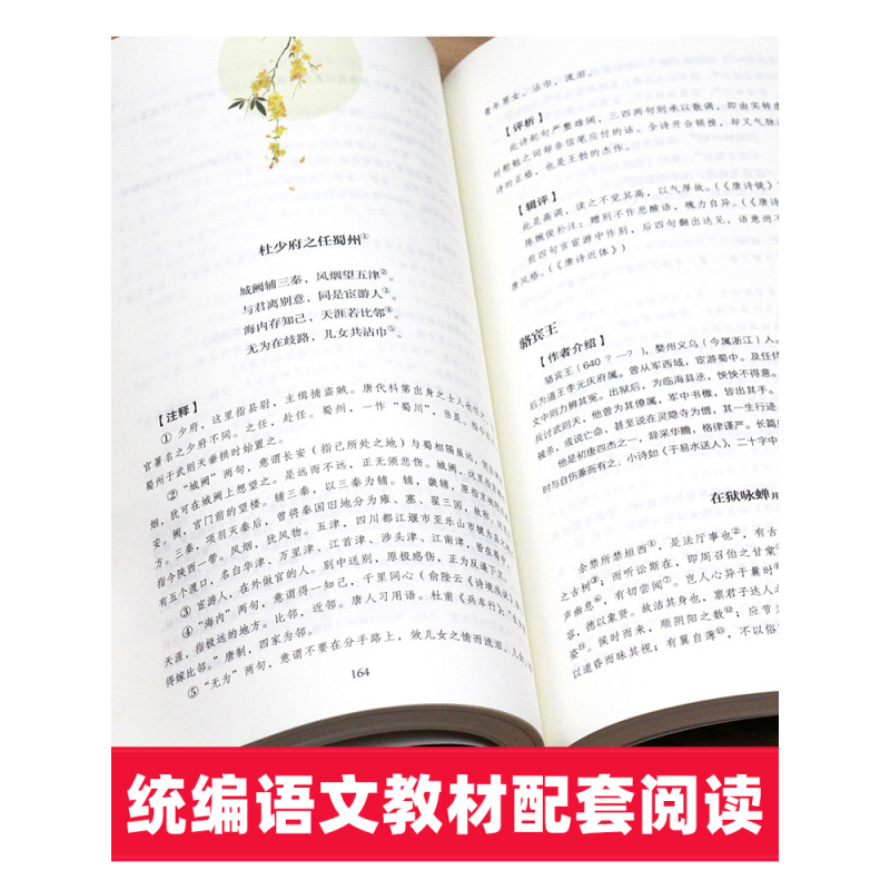 [人教版-新九上]简爱 [正版]书籍 简爱和儒林外史全2册原著完整版九年级下册必读书无删减初三初中学生课外书阅读读物经典
