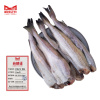 哈铁亿农 鳕鱼 22kg/件