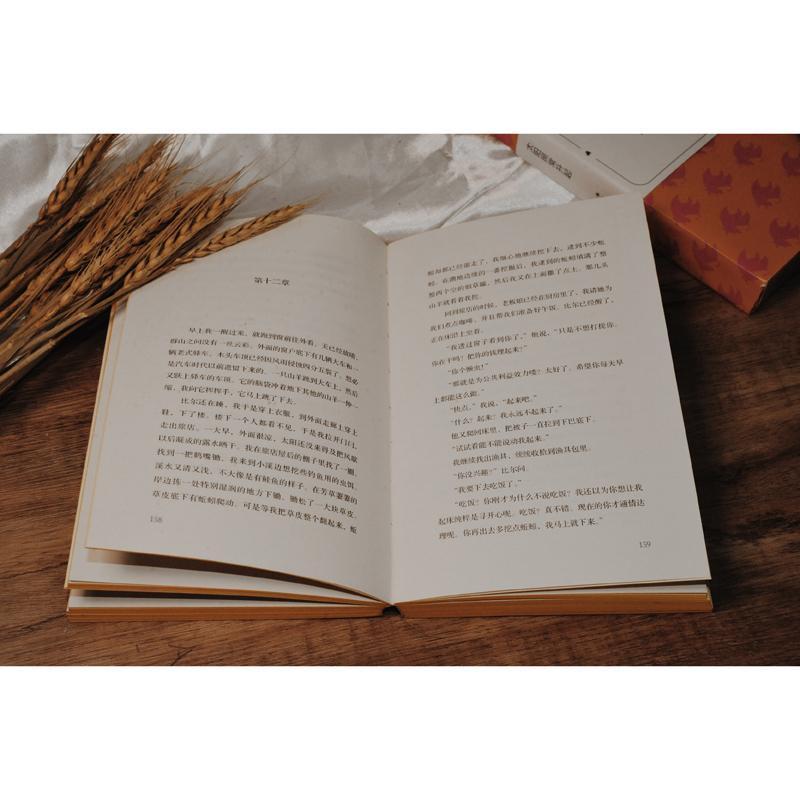 [醉染正版]太阳照常升起欧内斯特·海明威长篇小说美国现代文学爱好者书小说书籍