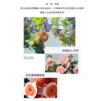 诗丹柔SETERRON 典藏香氛润肤精油皂-玫瑰与无花果128g