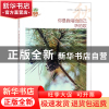 正版 你是我唱给自己听的歌/我的青春我的梦全国中学生校园美文精