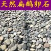 乌龟晒台石头 天然 扁平小鱼缸装饰造景石天然鹅卵石庭院铺路新款 5-8厘米9斤_