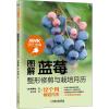 图解蓝莓整形修剪与栽培月历 (日)伴琢也 著 侯玮青 译 专业科技 文轩网