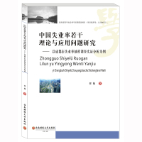 中国失业率若干理论与应用问题研究:以成都市失业率抽样调查实证分析为例 任栋 著 经管、励志 文轩网
