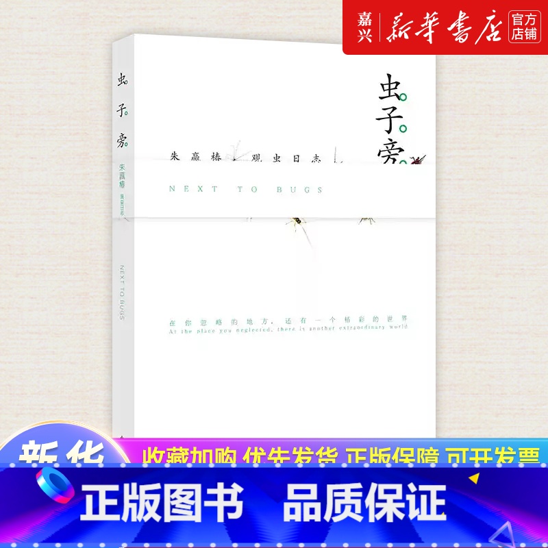 【正版】书店 书籍 虫子旁 朱赢椿观虫日志 高清摄影生动手绘优美散文细腻描绘虫子的趣味世界科普完整经典版当代文学作品