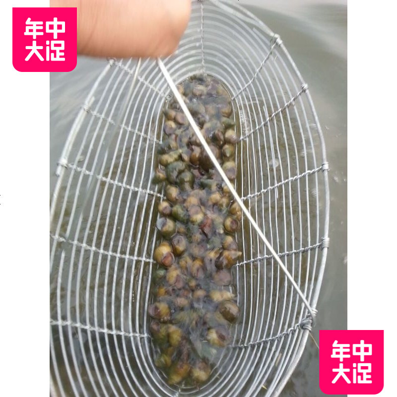 田螺捞螺蛳捉螺丝田螺河蚌蚬子蚶子篮子工具螺