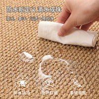 客厅地毯2024新款防水地垫茶几毯免洗可擦防猫抓卧室飘窗垫子床边毯