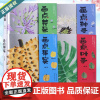 画点植物全套4册 花朵种子果实叶子 水彩绘画技法教程 成人初学者零基础水彩画技法书籍临摹画册 儿童学画画入门书籍 美术教
