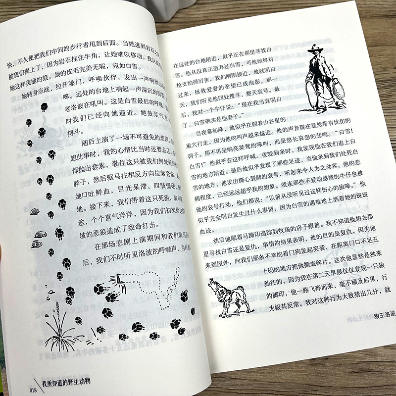 调皮的日子 全套4册 [正版]我所知道的动物 西顿动物故事集小学生三年级课外书老师阅读书籍儿童读物少儿图书山东文艺出版社