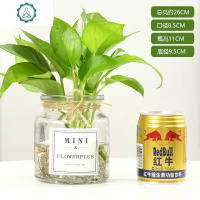 欧式创意简约桌面小花瓶透明玻璃水培植物绿萝九里香透明花瓶花盆 封后 mini花瓶两个(送麻绳)干花/花瓣/干花包/干树枝