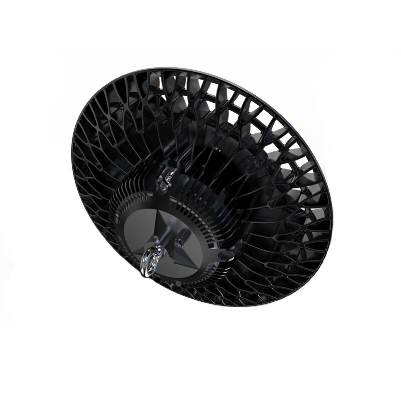 立华王 LH6600-D 240W IP65 电压AC220V 光源色温5700K LED高顶灯 (计价单位:个) 黑色