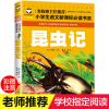 昆虫记法布尔正版书小学生三四五年级课外书必读书原著完整版 名校班主任 昆虫记 注音版