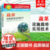蔬菜设施栽培实用技术 叶菜类茄果类瓜类设施维护 蔬菜育苗 蔬菜生产 蔬菜种植书籍 大棚种植书籍