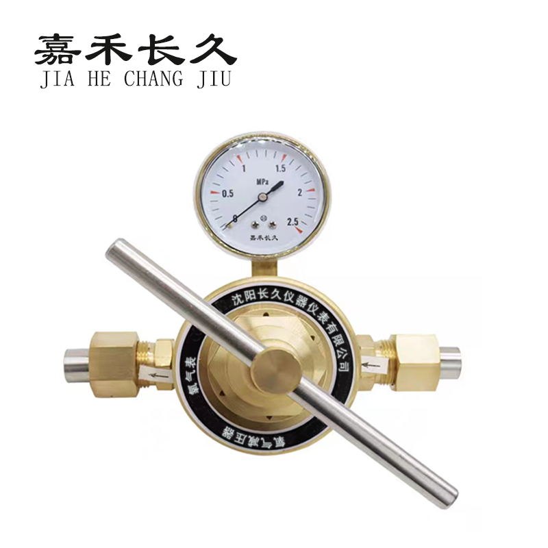 嘉禾长久 氧气减压气检测定制型 氧气表(单头) 个 氧气表(单头)