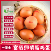 一蛋金-富硒蛋60枚装无抗/无激素/无重金属/全民营养健康鸡蛋