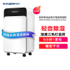 欧井(Eurgeen) 除湿机/抽湿机 除湿量12升/天 家用地下室除湿器 OJ-129E