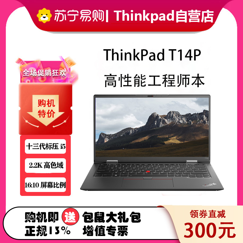 [2023款]ThinkPad联想ThinkPad T14p 09CD 14英寸高性能标压轻薄商务笔记本 13代酷睿 i5-13500H 32G 1TB SSD 2.2K