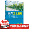 [正版书籍]蔬菜无土栽培实用技术
