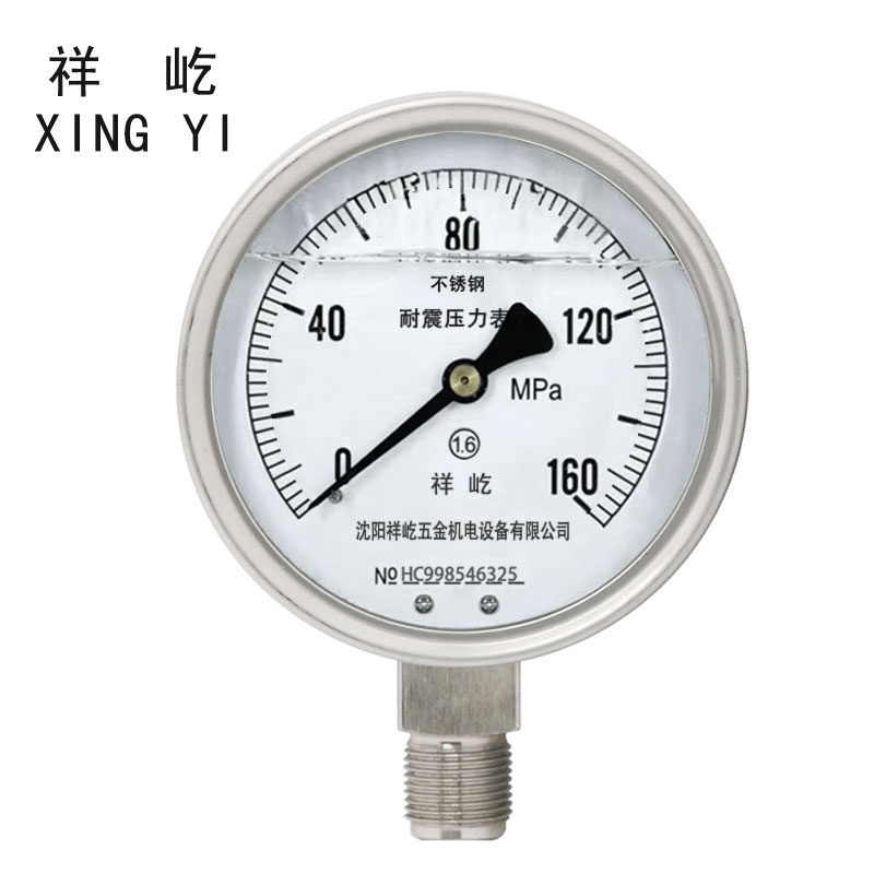 祥屹 不锈钢耐震压力表检测定制型 YTN100BF 块 YTN100BF0-160Mpa