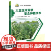 正版 大豆玉米带状复合种植技术 大豆玉米产量和优化土地资源利用 大豆玉米带状复合种植品种选配 复合种植机械播种参考指南