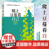 爬上豆蔓看自己 辛黛瑞拉的教育日记 北师大幼儿教师专业成长丛书辛黛瑞拉的教育日记 一线幼儿教师的幼儿教师成长历程真实记录