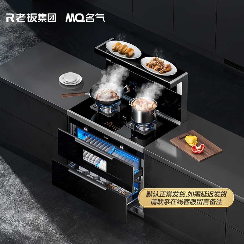 老板集团/名气二星消毒柜款集成灶FX12X液化气