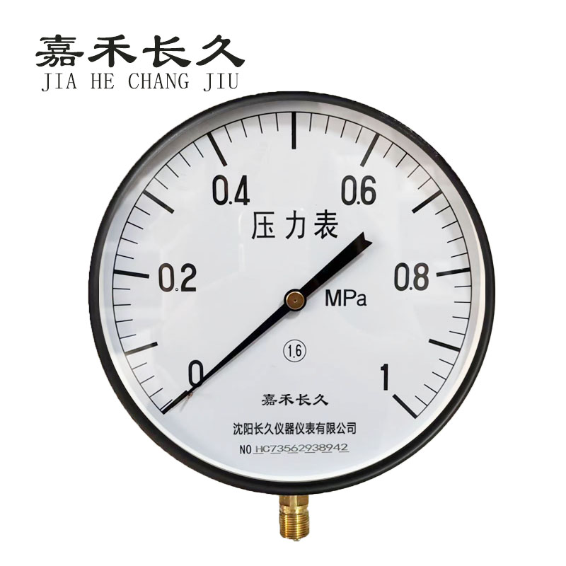 嘉禾长久+压力表检测定制型+Y250+块 0-1.0Mpa