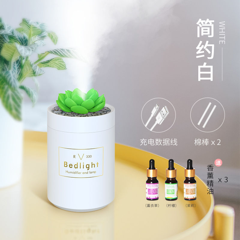 加湿器家用静音卧室孕妇婴儿迷你香薰补水神器车载办公室学生宿舍|多肉款-简约白+3瓶精油