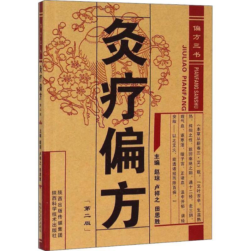 音像灸疗偏方(第2版)赵琼,卢祥之,田思胜 编