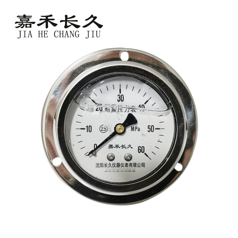 嘉禾长久+耐震压力表轴向带边检测定制型+YTN60ZT+块 0-60Mpa