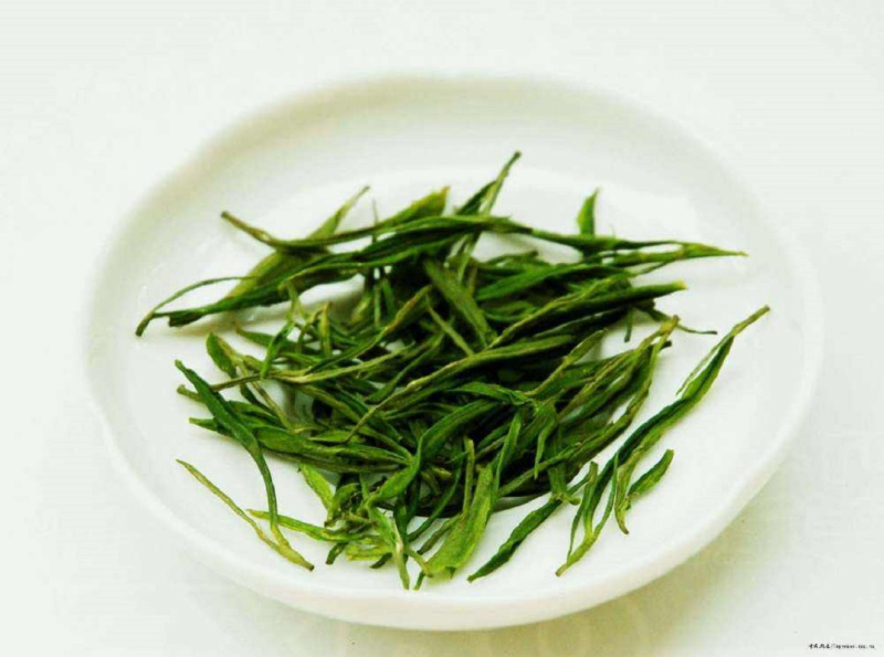 古岫 安吉白茶套装 500g
