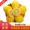 新鲜黄柠檬2斤装中果 应季水果 苏宁自营水果