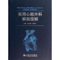 实用心脏外科解剖图解 无 著作 苏业璞 等 主编 生活 文轩网