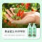 蜂花本草精华洗发露(润泽丝滑)500ml