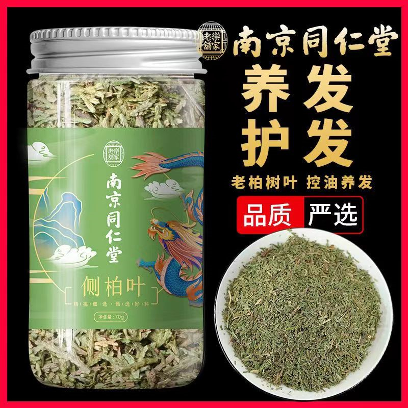 [1罐装]南京同仁堂 乐家老铺 侧柏叶 70g/罐 新鲜侧柏叶秦岭野生柏树叶传统阴干侧柏叶扁柏叶香波波