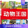 动物王国 [正版] 童眼识天下认标志百花地理恐龙王国 3-6岁幼儿童常识教育早教绘本图书籍 常见安全标志交通标志 儿童启