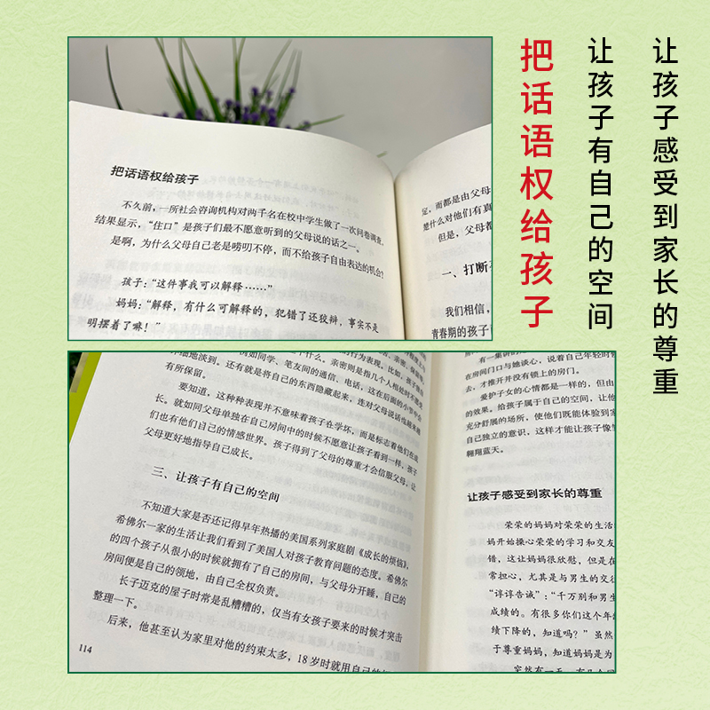 [正版]字里行间 陪孩子度过青春期 孩子教育书青春期教育书籍育儿家庭 父母送给青春期孩子的成长礼物高清大图