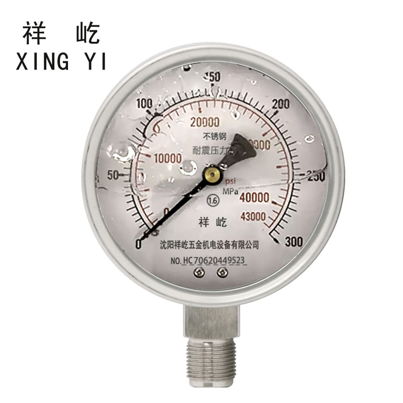 祥屹 不锈钢耐震压力表检测定制型 YTN100BF 块 YTN100BF0-300Mpa