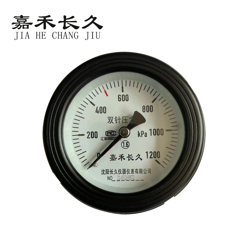 嘉禾长久 轴向双针表 YYS-100Z 1200KPA 台 YYS-100Z，1200KPA