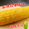 农得客博斯糯9号东北新鲜黄糯玉米200g*5根