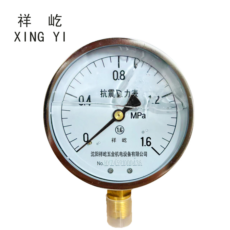 祥屹+耐震压力表检测定制型+YTN100+块 0-1.6Mpa