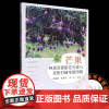 芒果种质资源雄花光镜与花粉扫描电镜图解 9787109301054 正版书籍 中国农业出版社