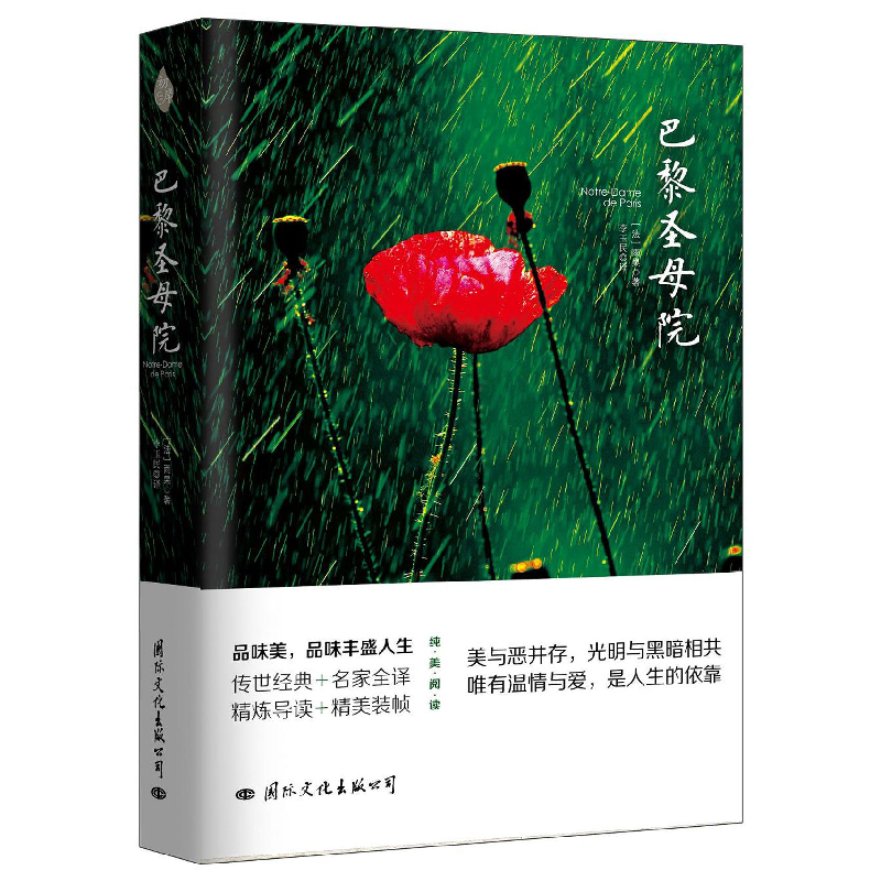 音像巴黎院(法)雨果|译者:李玉民