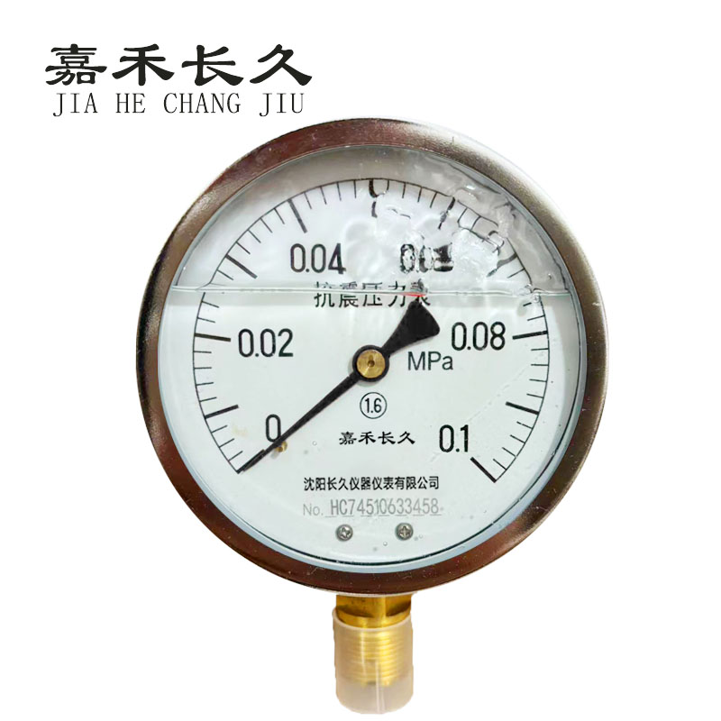 嘉禾长久+耐震压力表检测定制型+YTN100+块高清大图