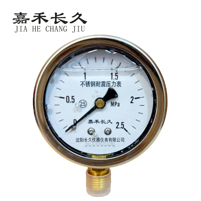 嘉禾长久+不锈钢耐震压力表检测定制型+YN60BF+块高清大图